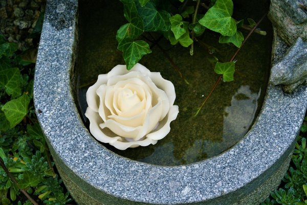 Rosenkerze Blüte creme d15 cm