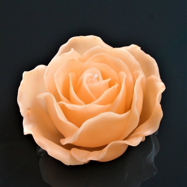 Rosenkerze Blüte aprikot d15 cm