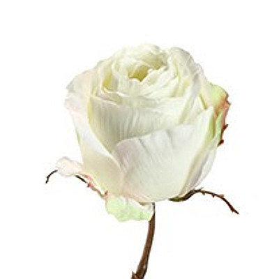 Vosteen Seidenrose Kunstblume künstliche Rose Stine Textil weiß 50 cm