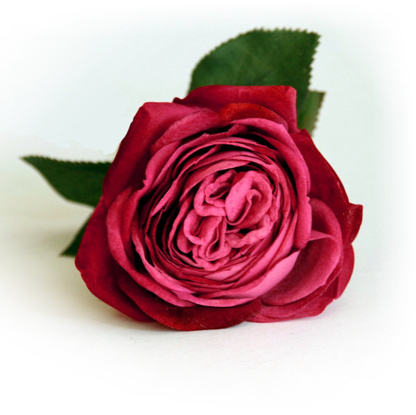 Vosteen Seidenrose Kunstblume künstliche Rose Velvet Textil fuchsia 38 cm