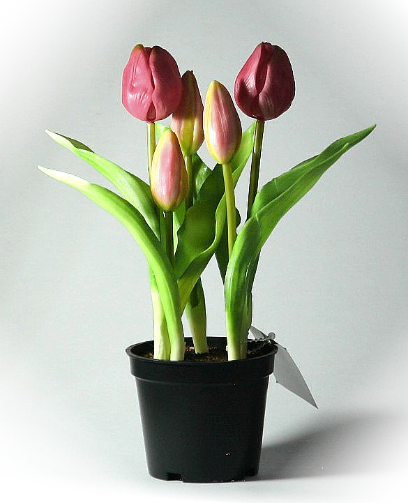 Kunstblume Tulpen-Topf Real Touch 5 Blüten rosa h24 cm