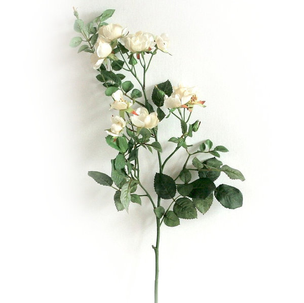 Kunstpflanze Seidenrose Wildrose creme kleine Blüten h50 cm