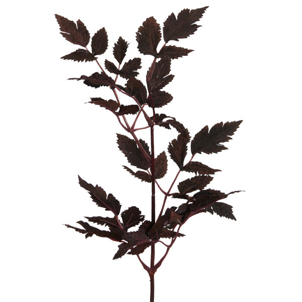 Herbstlicher Dekozweig Holunder rotlaubig Blattpflanze 45 cm