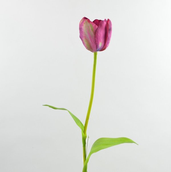Künstliche Tulpe lila-violett Natural Touch wie echt 63 cm